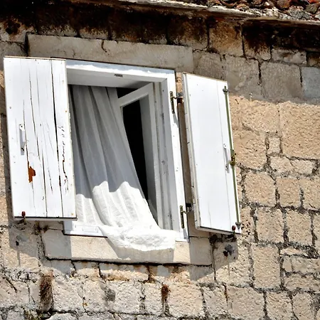 Apartment 11
