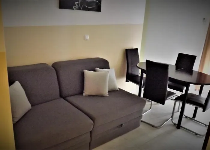 Apartament 11 *